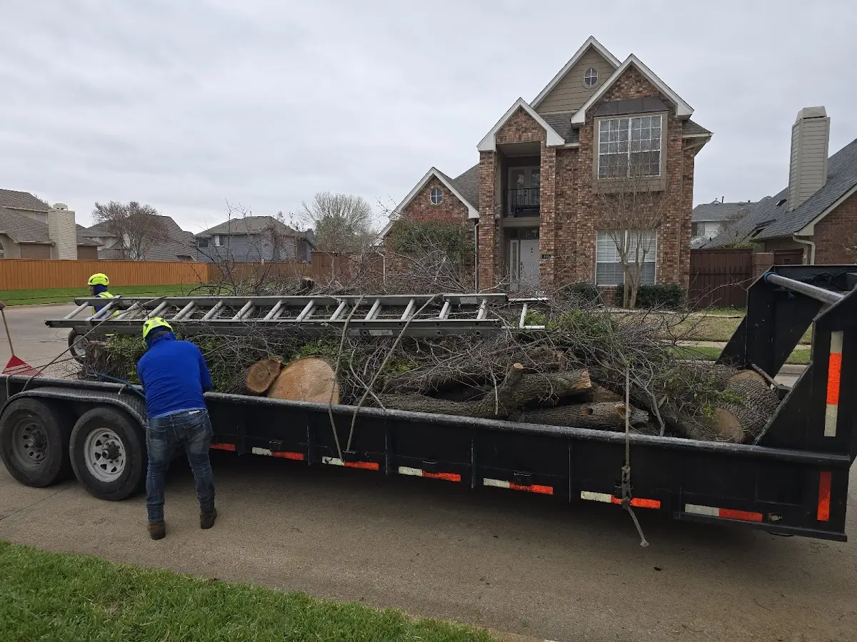 Expert Tree Fertilization with proper safety equipment in Eglin Afb